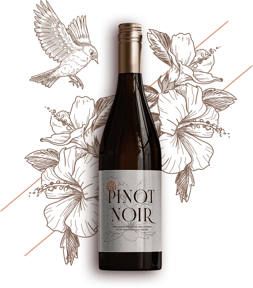 Pinot Noir — Vin Rouge